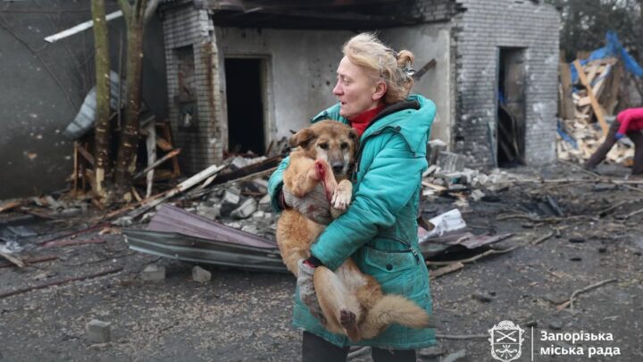 Росіяни вдарили по собачому притулку у Запоріжжі