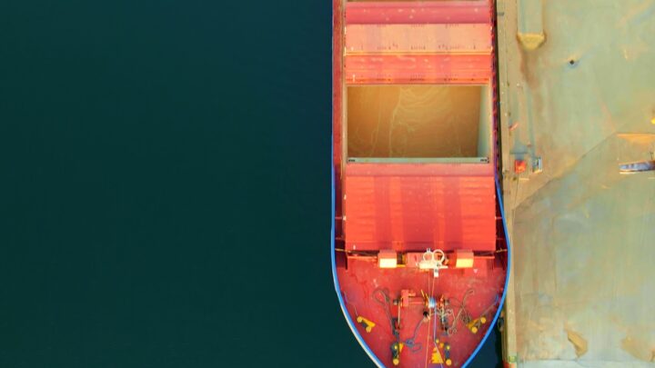 США витісняє українську кукурудзу з ринку ЄС - ЗМІ