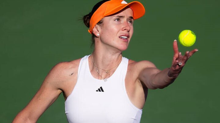 Світоліна в півфіналі турніру в Дубаї