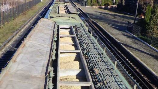 Контрабанда сої на 28 мільйонів: суд у Чернівцях покарав директора "фірми-одноденки", але не організаторів схеми