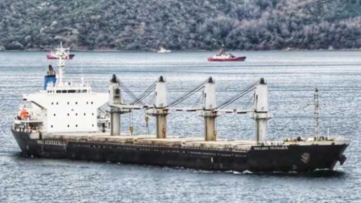 Три країни — одна схема: росіяни маскують награбоване в Україні під білоруський експорт