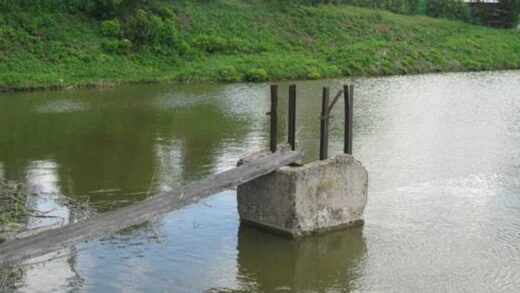 Рибна ферма і бронювання: як до списку «критично важливих» потрапили піарник, адвокати та футболісти