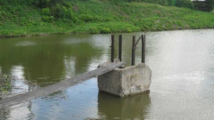 Рибна ферма і бронювання: як до списку «критично важливих» потрапили піарник, адвокати та футболісти