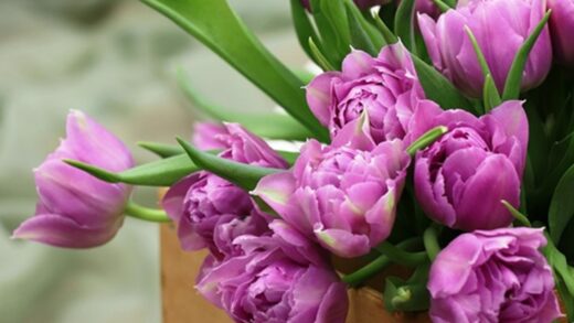 Більшість українців не святкуватимуть 8 березня - опитування