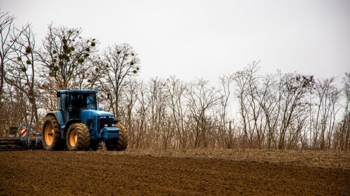 Посівна в Україні стартує із затримкою
