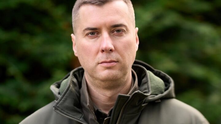 Прибуток лісової галузі України зріс майже утричі