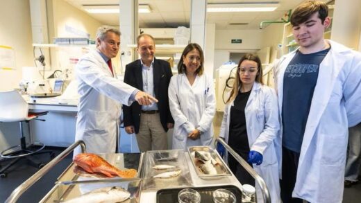 В Іспанії створили штучну рогівку з риб’ячої луски