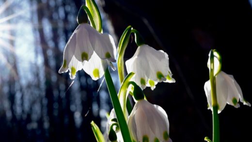 Прогріє до +15°: якою буде погода на початку тижня