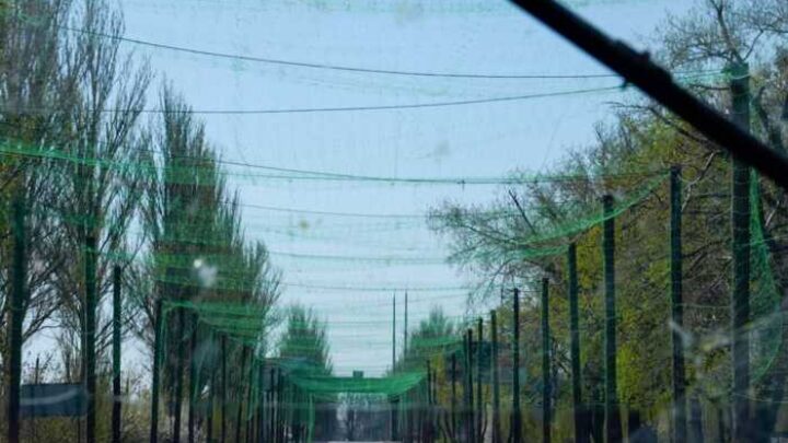 Дороги під «парасолькою»: Харківщина витратить частину з 3 мільярдів на антидронові сітки
