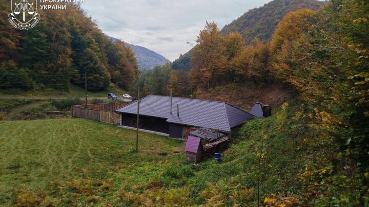 Лісничий з Закарпаття збудував маєток на самовільно захопленій ділянці
