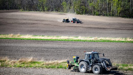 Українські аграрії засіяли 83% площ зернових