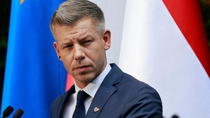 Мадяр зробив заяву щодо гарантій для України