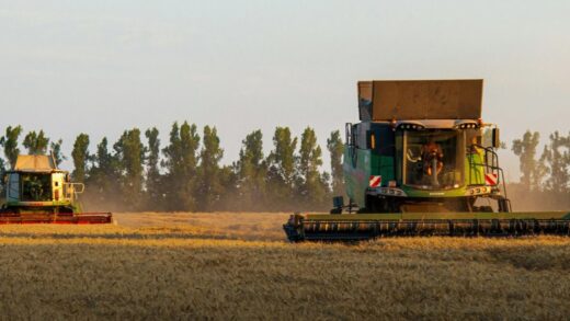 Україна наростила експорт зерна на понад 50%