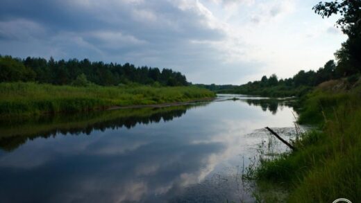 Рідкісні риби оселилися у водоймах Чорнобильської зони