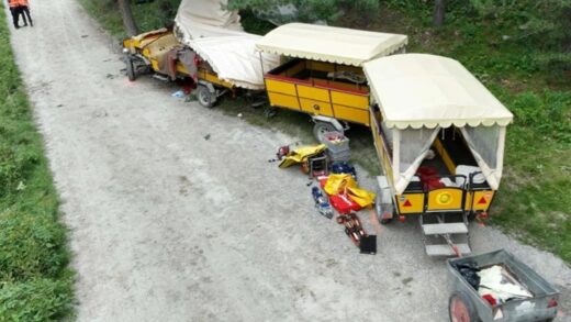 Кінний екіпаж потрапив в аварію у Швейцарії, є жертва