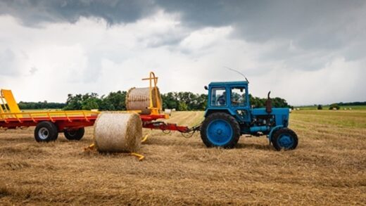 Блокада морських портів: ситуація в агросекторі гірша, ніж у 2022 році