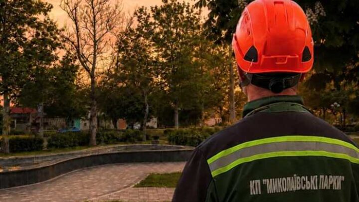 «Антивандальні» лавки за 40 тисяч: у Миколаєві віддали тендери на благоустрій родинам чиновників