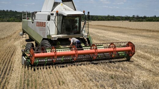 Україна намолотила 33 млн тонн зерна: які культури вже зібрали