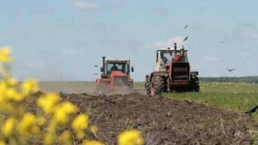 В Україні озимими зерновими засіяли понад 740 тис. га