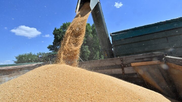 Аграрії України отримають засоби для зберігання врожаю